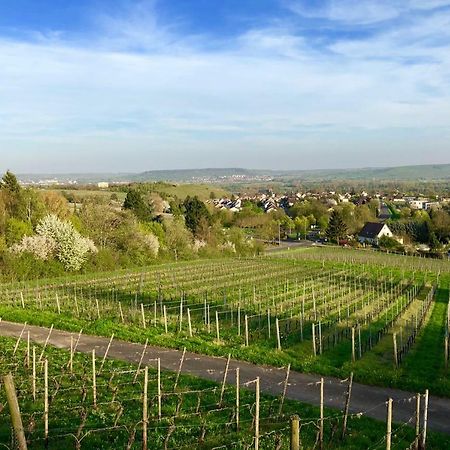 Das Apartment Am Weinberg Geisenheim Eksteriør bilde