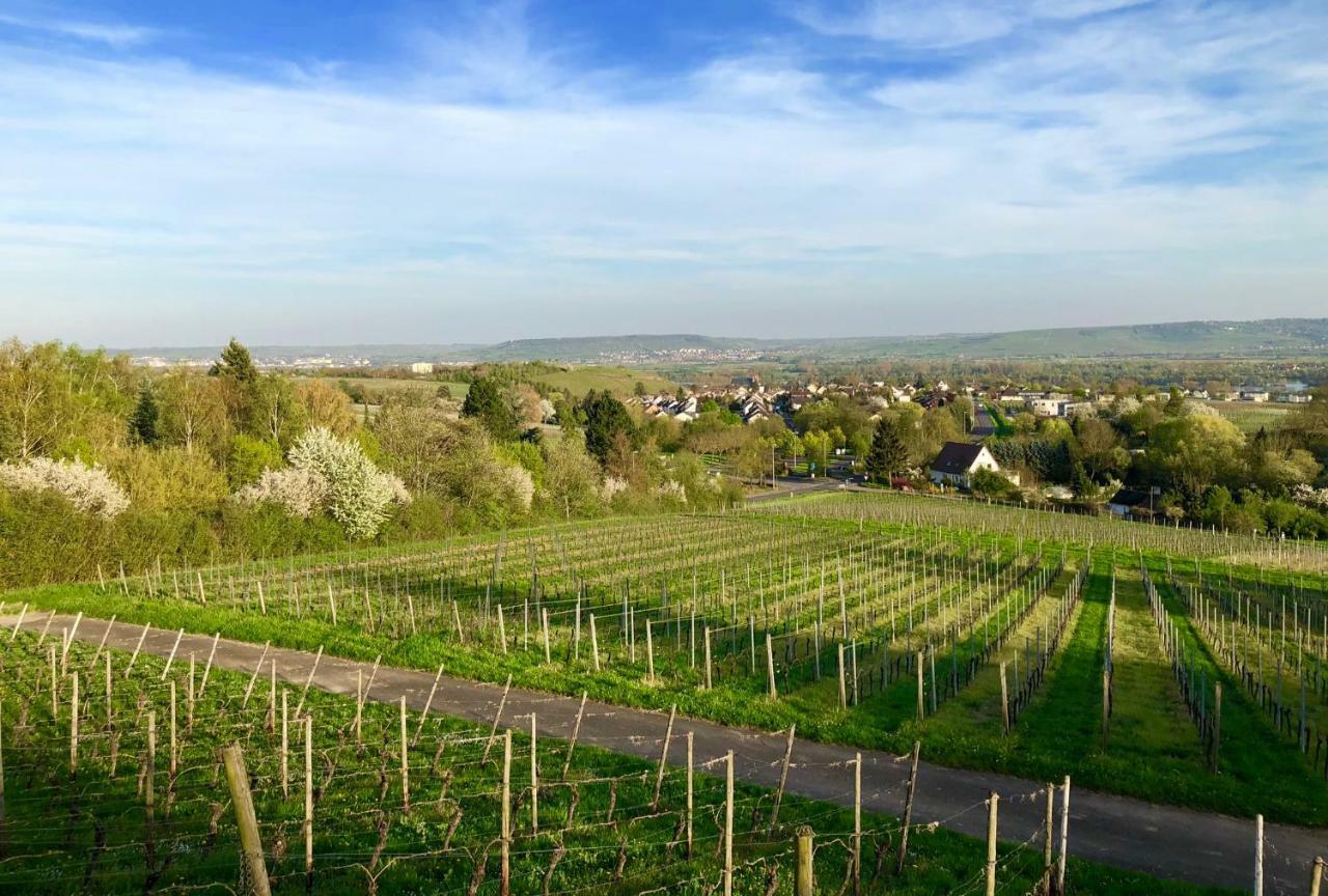 Das Apartment Am Weinberg Geisenheim Eksteriør bilde